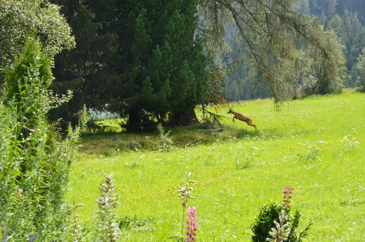 Landhaus Kaulfuss Sankt Jakob in Defereggen Exteriér fotografie